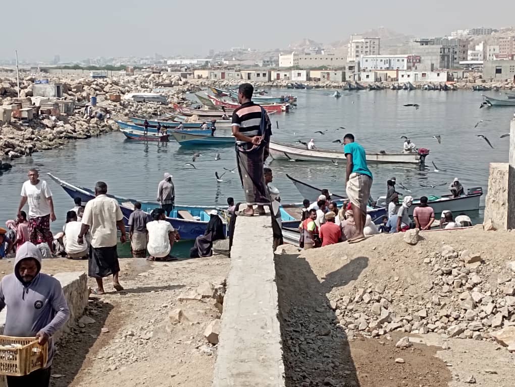 تاربة اليوم في سوق الصيد بالمكلا لرصد "موسم العيد" - ( شاهد الصور ) تاربة اليوم في سوق الصيد بالمكلا لرصد "موسم العيد" - ( شاهد الصور )