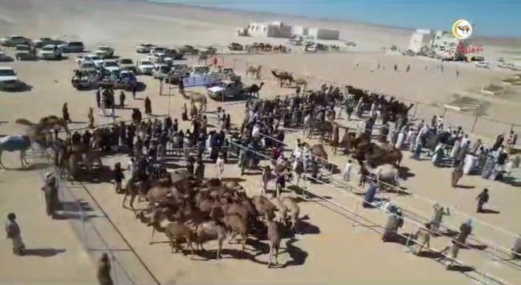 مهرجان الشيخ زايد النسخة الثانية بمنطقة العلبة قف العوامر .. بصمة تراثية أصيلة مهرجان الشيخ زايد النسخة الثانية بمنطقة العلبة قف العوامر .. بصمة تراثية أصيلة