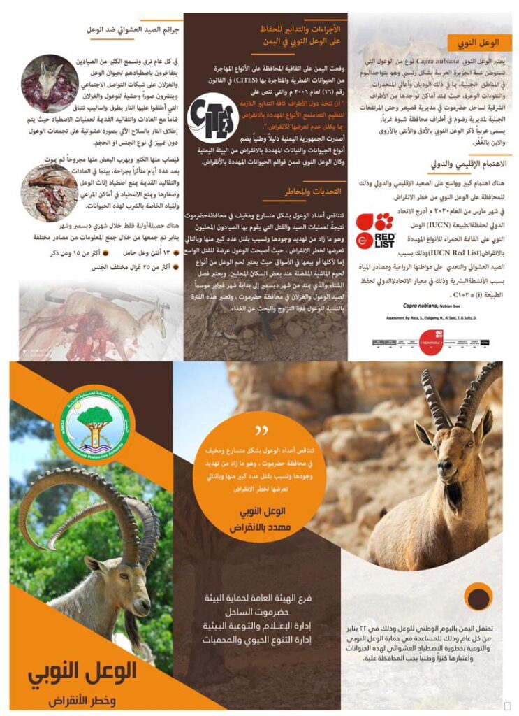 تزامنا مع اليوم الوطني للوعل..فرع الهيئة العامة لحماية البيئة بساحل حضرموت يطلق حملة ضد الصيد الجائر للوعل تزامنا مع اليوم الوطني للوعل..فرع الهيئة العامة لحماية البيئة بساحل حضرموت يطلق حملة ضد الصيد الجائر للوعل