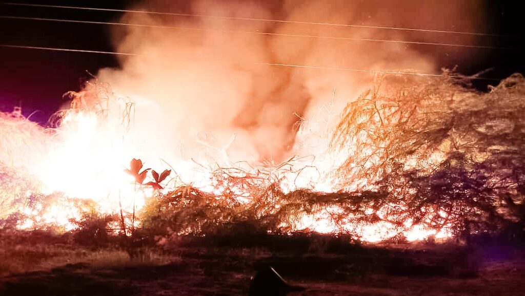 شاهد بالصور .. حريق في أشجار السيسبان بمنطقة ظلومة يتسبب في قطع الخط العام المكلا - عدن شاهد بالصور .. حريق في أشجار السيسبان بمنطقة ظلومة يتسبب في قطع الخط العام المكلا - عدن