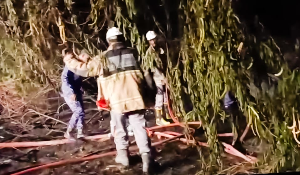 شاهد بالصور .. حريق في أشجار السيسبان بمنطقة ظلومة يتسبب في قطع الخط العام المكلا - عدن شاهد بالصور .. حريق في أشجار السيسبان بمنطقة ظلومة يتسبب في قطع الخط العام المكلا - عدن