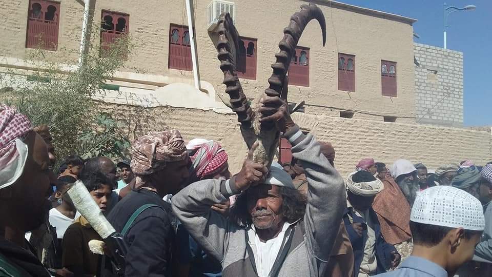 مدينة عينات التاريخية تحتفل بعودة رجال القناصة "شاهد الصور" مدينة عينات التاريخية تحتفل بعودة رجال القناصة "شاهد الصور"