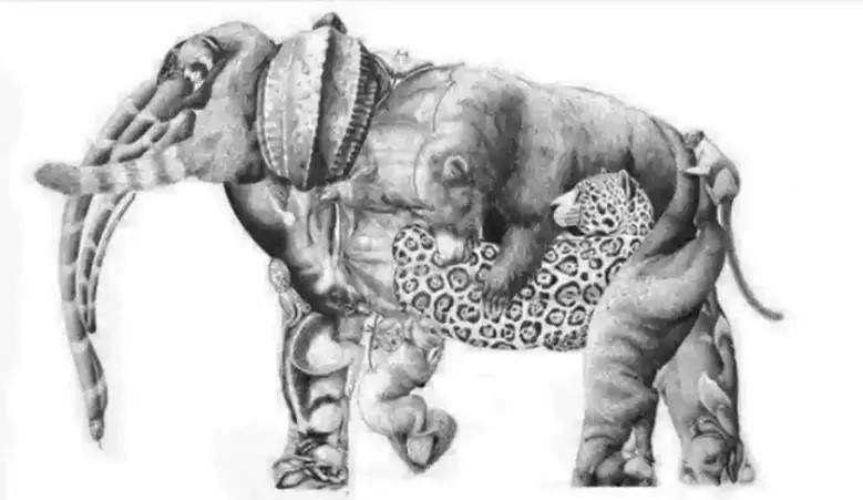 نشط عقلك وحارب الزهايمر.. كم حيوان يمكنك رؤيته في الصورة؟ نشط عقلك وحارب الزهايمر.. كم حيوان يمكنك رؤيته في الصورة؟