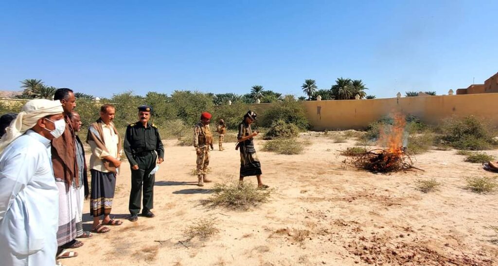 اتلاف كمية من مادة الحشيش المخدر في مدينة سيئون "شاهد الصور" اتلاف كمية من مادة الحشيش المخدر في مدينة سيئون "شاهد الصور"