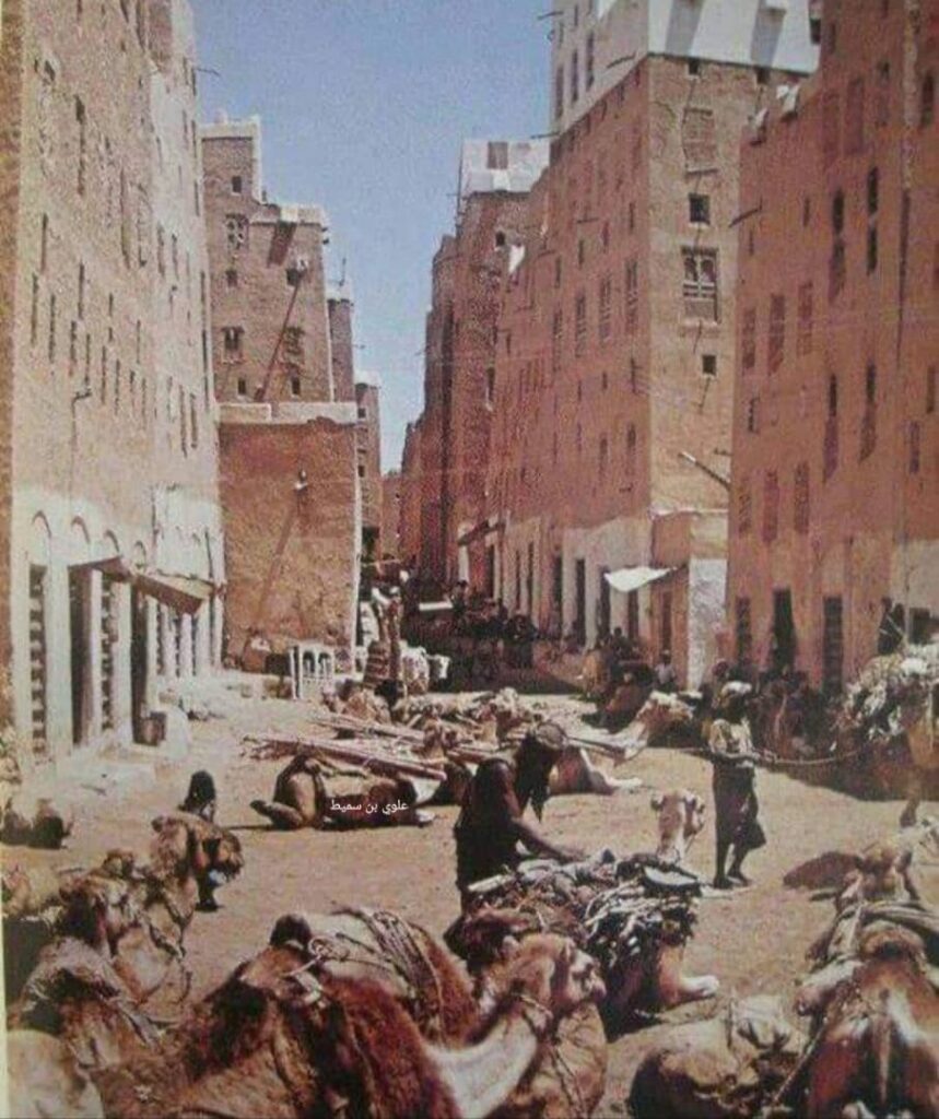 قوافل التجارة من وإلى شبام قوافل التجارة من وإلى شبام