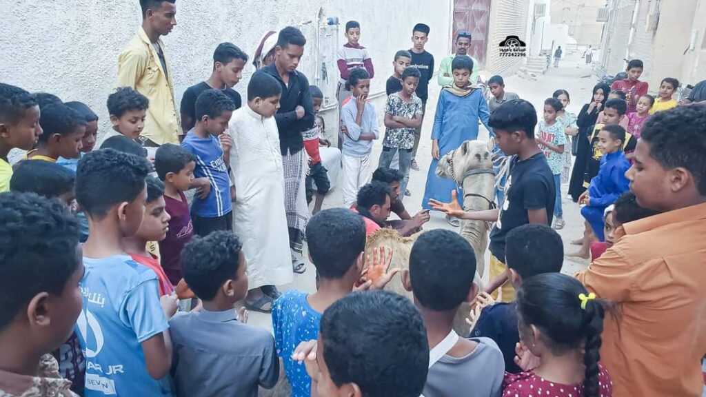 مدينة تريم تشهد تزيين الجمال استعداد للذهاب لشعب نبي الله هود عليه السلام "شاهد الصور" مدينة تريم تشهد تزيين الجمال استعداد للذهاب لشعب نبي الله هود عليه السلام "شاهد الصور"