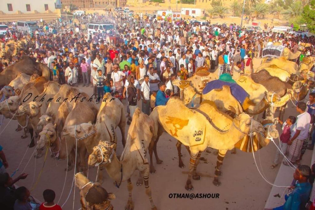 طقوس دينية تأبى الإندثار بتريم الغناء .. قوافل الهجن تغادر تريم إلى شعب نبي الله هود .. طقوس دينية تأبى الإندثار بتريم الغناء .. قوافل الهجن تغادر تريم إلى شعب نبي الله هود ..