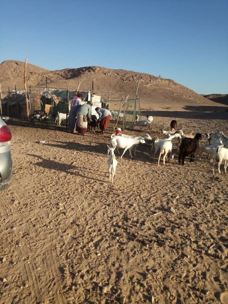 الشيخ محمد احمد المنهالي عضو المجلس المحلي بلمحافظه يستقبل وفد البيطرة بمكتب الزراعه والري حضرموت الوادي والصحراء الشيخ محمد احمد المنهالي عضو المجلس المحلي بلمحافظه يستقبل وفد البيطرة بمكتب الزراعه والري حضرموت الوادي والصحراء