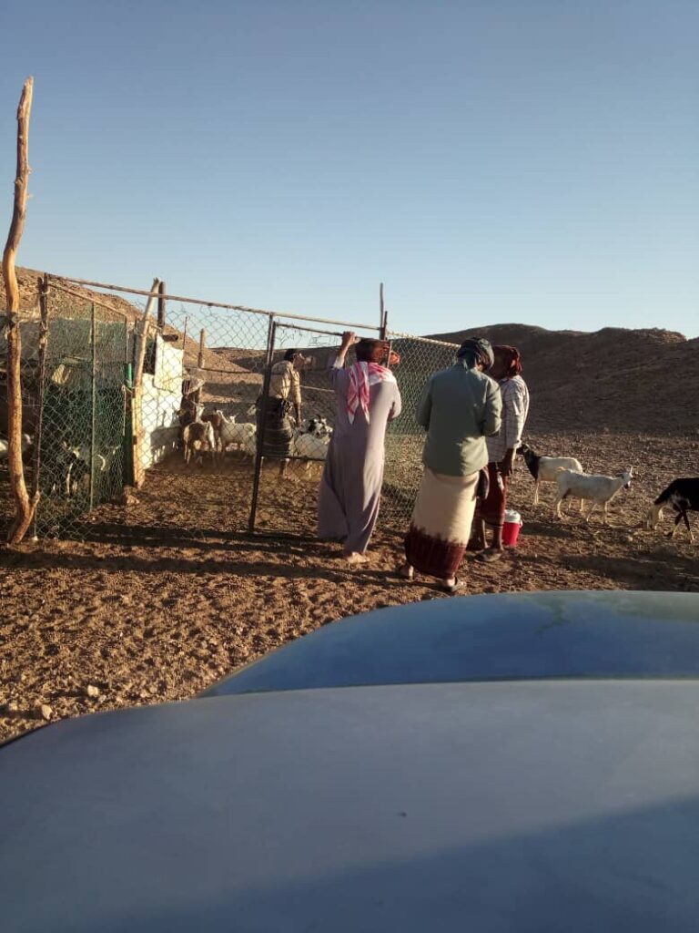 الشيخ محمد احمد المنهالي عضو المجلس المحلي بلمحافظه يستقبل وفد البيطرة بمكتب الزراعه والري حضرموت الوادي والصحراء الشيخ محمد احمد المنهالي عضو المجلس المحلي بلمحافظه يستقبل وفد البيطرة بمكتب الزراعه والري حضرموت الوادي والصحراء