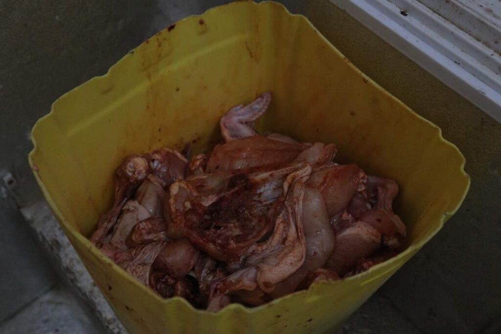 بحسب توجيهات المدير العام لمكتب وزارة الأشغال العامة والطرق بساحل حضرموت..نزول مفاجئ لمدير الإصحاح بالمحافظة لغيل باوزير وضبط مطاعم ومخبز مخالفين. "شاهد الصور" بحسب توجيهات المدير العام لمكتب وزارة الأشغال العامة والطرق بساحل حضرموت..نزول مفاجئ لمدير الإصحاح بالمحافظة لغيل باوزير وضبط مطاعم ومخبز مخالفين. "شاهد الصور"