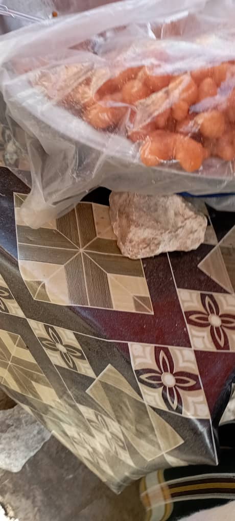 عدسة تاربه اليوم ترصد الحركة الشعبية في الأسواق الشعبية الحضرمية الرمضانيه في مدينة الشحر عدسة تاربه اليوم ترصد الحركة الشعبية في الأسواق الشعبية الحضرمية الرمضانيه في مدينة الشحر