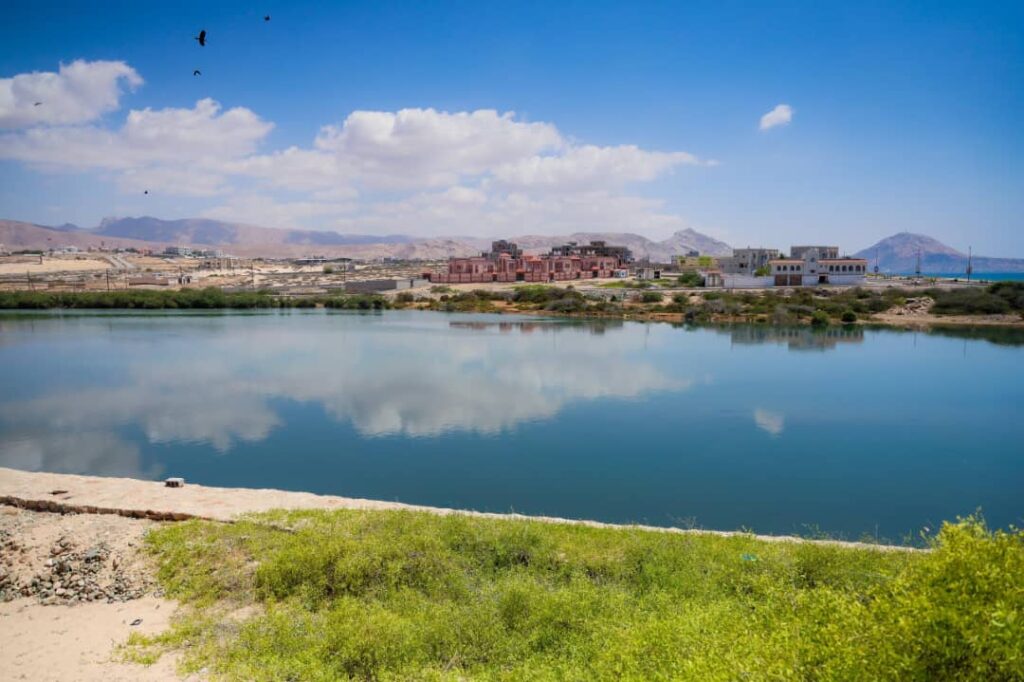 رئيس الوزراء يوجه باتخاذ الإجراءات اللازمة لإعلان خور امبيخة محمية طبيعية رئيس الوزراء يوجه باتخاذ الإجراءات اللازمة لإعلان خور امبيخة محمية طبيعية