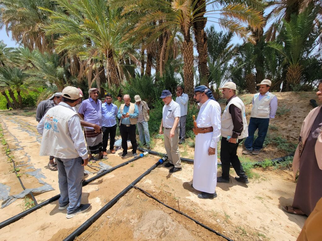 مدير عام شبام يلتقي وفد منظمة الفاو ويتفقدون سير العمل في مشروع تعزيز الصمود في قطاع الزراعة والري بمديرية شبام مدير عام شبام يلتقي وفد منظمة الفاو ويتفقدون سير العمل في مشروع تعزيز الصمود في قطاع الزراعة والري بمديرية شبام