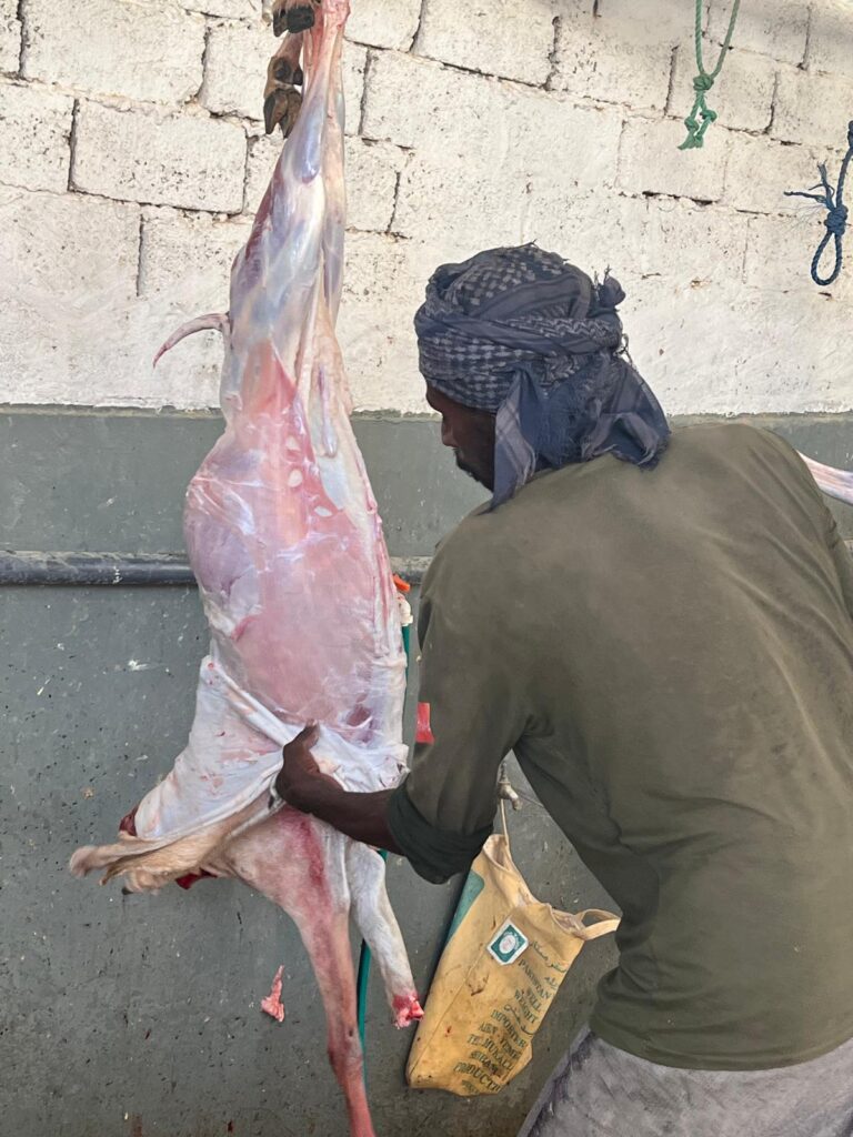 قبيلة ال عون الكثيريه تنفذ اكبر مشروع اضاحي للعام العشرين في حضرموت قبيلة ال عون الكثيريه تنفذ اكبر مشروع اضاحي للعام العشرين في حضرموت