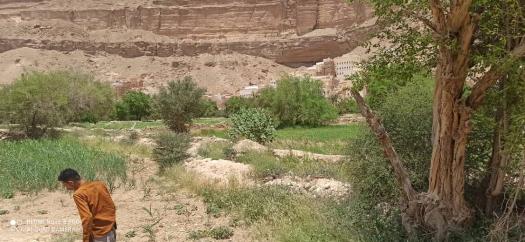 الإعلامي اكرم النهدي يشارك ابنا قيدون في مديريه دوعن أفراحهم بمناسبة عيد الاضحى المبارك "مرفق صور" الإعلامي اكرم النهدي يشارك ابنا قيدون في مديريه دوعن أفراحهم بمناسبة عيد الاضحى المبارك "مرفق صور"