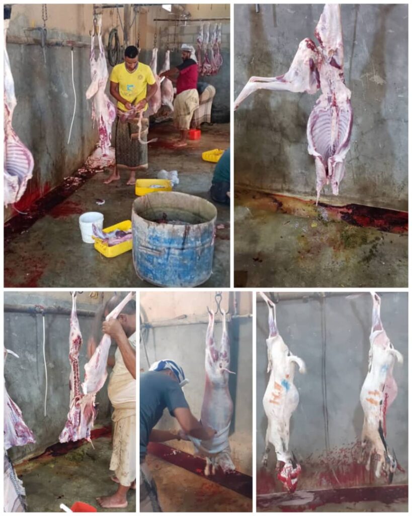 مجموعة إعانة للأعمال الخيرية تختتم مشاريعها الخيرية…"خمس أيام في عطاء مستمر" مجموعة إعانة للأعمال الخيرية تختتم مشاريعها الخيرية…"خمس أيام في عطاء مستمر"