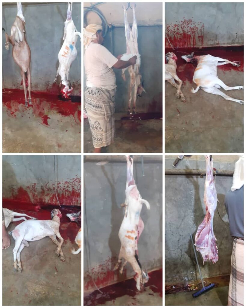 مجموعة إعانة للأعمال الخيرية تختتم مشاريعها الخيرية…"خمس أيام في عطاء مستمر" مجموعة إعانة للأعمال الخيرية تختتم مشاريعها الخيرية…"خمس أيام في عطاء مستمر"