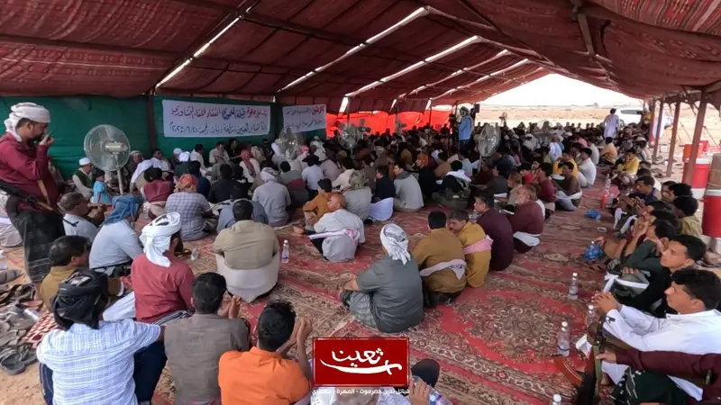 لقاء تشاوري لقبائل ثعين لمناقشة الاوضاع العامة لقاء تشاوري لقبائل ثعين لمناقشة الاوضاع العامة