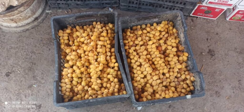 بدء تكاثر تمور "الخريف" في الأسواق المحلية وانخفاض نسبة شراء الفواكه الطازجة"شاهد الصور" بدء تكاثر تمور "الخريف" في الأسواق المحلية وانخفاض نسبة شراء الفواكه الطازجة"شاهد الصور"