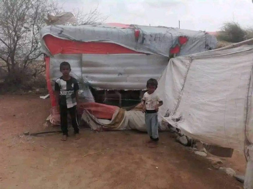 أشعة الشمس عن مشهد مروع للمنازل في محافظة الحديدة عقب سيول جارفة (شاهد الصور) أشعة الشمس عن مشهد مروع للمنازل في محافظة الحديدة عقب سيول جارفة (شاهد الصور)