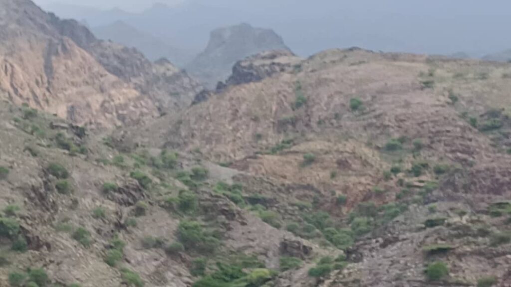 من خطوط النار.. قوات الحزام الأمني بالمسيمير تقهر الغزاة وتصنع الانتصارات الجنوبية في جبهات الحواشب الشمالية والغربية من خطوط النار.. قوات الحزام الأمني بالمسيمير تقهر الغزاة وتصنع الانتصارات الجنوبية في جبهات الحواشب الشمالية والغربية