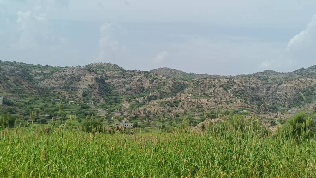 من خطوط النار.. قوات الحزام الأمني بالمسيمير تقهر الغزاة وتصنع الانتصارات الجنوبية في جبهات الحواشب الشمالية والغربية من خطوط النار.. قوات الحزام الأمني بالمسيمير تقهر الغزاة وتصنع الانتصارات الجنوبية في جبهات الحواشب الشمالية والغربية