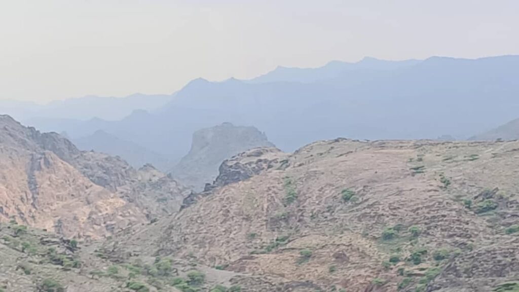 من خطوط النار.. قوات الحزام الأمني بالمسيمير تقهر الغزاة وتصنع الانتصارات الجنوبية في جبهات الحواشب الشمالية والغربية من خطوط النار.. قوات الحزام الأمني بالمسيمير تقهر الغزاة وتصنع الانتصارات الجنوبية في جبهات الحواشب الشمالية والغربية