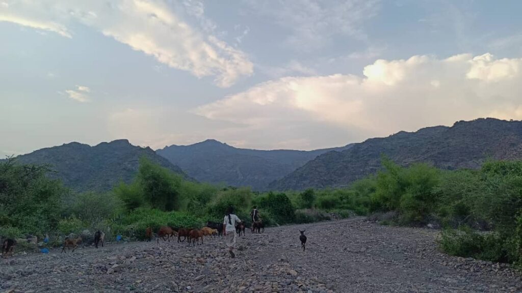 لحج.. مليشيات الحوثي تستهدف بالأسلحة الثقيلة منازل المواطنين في قرين وتجبر الأهالي على النزوح ومناشدات لإغاثة أبناء المنطقة المنكوبين لحج.. مليشيات الحوثي تستهدف بالأسلحة الثقيلة منازل المواطنين في قرين وتجبر الأهالي على النزوح ومناشدات لإغاثة أبناء المنطقة المنكوبين