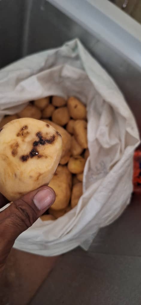 الاصحاح البيئي بمكتب الاشغال العامة بمديرية الشحر ينفذ حملة ويقوم باغلاق ثلاثة معامل لتحضير الشاورما بالمدينة "شاهد الصور" الاصحاح البيئي بمكتب الاشغال العامة بمديرية الشحر ينفذ حملة ويقوم باغلاق ثلاثة معامل لتحضير الشاورما بالمدينة "شاهد الصور"