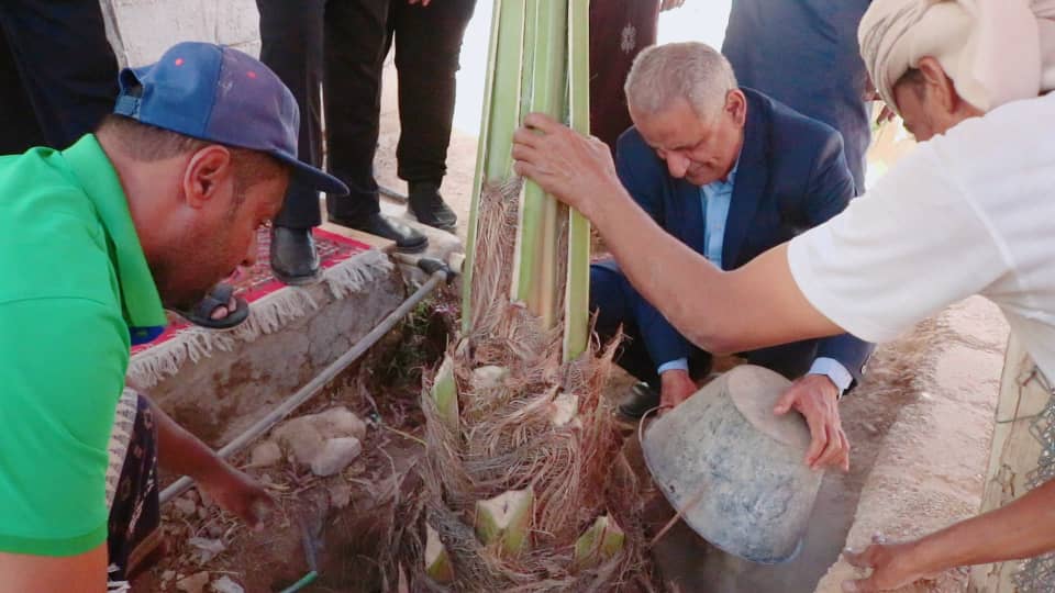 مدير عام سيئون يدشن مشروع "في بيتنا نخلة" المنفذ من قبل مبادرة خضراء الوادي النسوية. مدير عام سيئون يدشن مشروع "في بيتنا نخلة" المنفذ من قبل مبادرة خضراء الوادي النسوية.