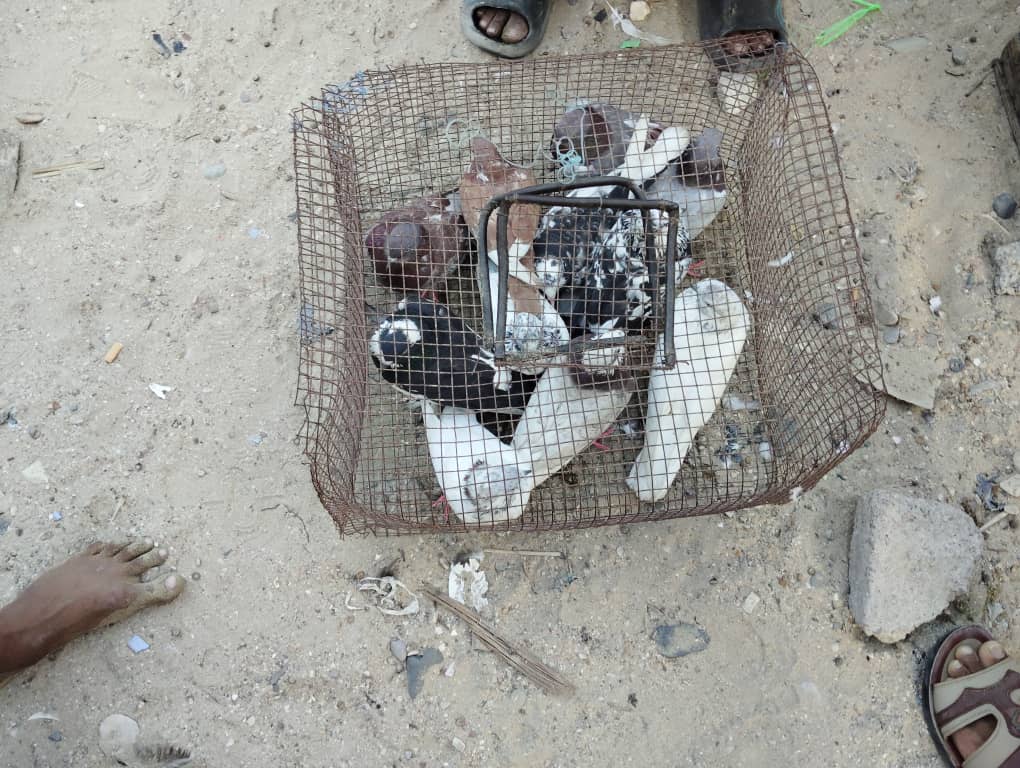 سوق الحراج في شرج بإسالم في مدينة المكلا "نكهة خاصة من التاريخ الحضرمي لازالت تحافظ عليه حضرموت" ملف مصور سوق الحراج في شرج بإسالم في مدينة المكلا "نكهة خاصة من التاريخ الحضرمي لازالت تحافظ عليه حضرموت" ملف مصور