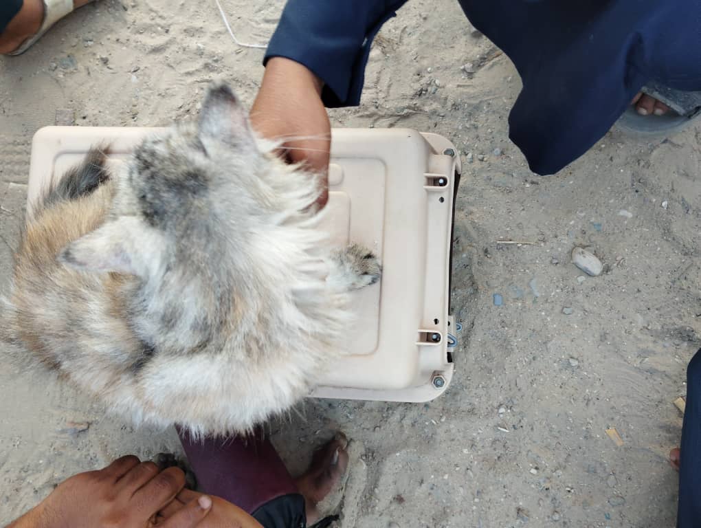 سوق الحراج في شرج بإسالم في مدينة المكلا "نكهة خاصة من التاريخ الحضرمي لازالت تحافظ عليه حضرموت" ملف مصور سوق الحراج في شرج بإسالم في مدينة المكلا "نكهة خاصة من التاريخ الحضرمي لازالت تحافظ عليه حضرموت" ملف مصور