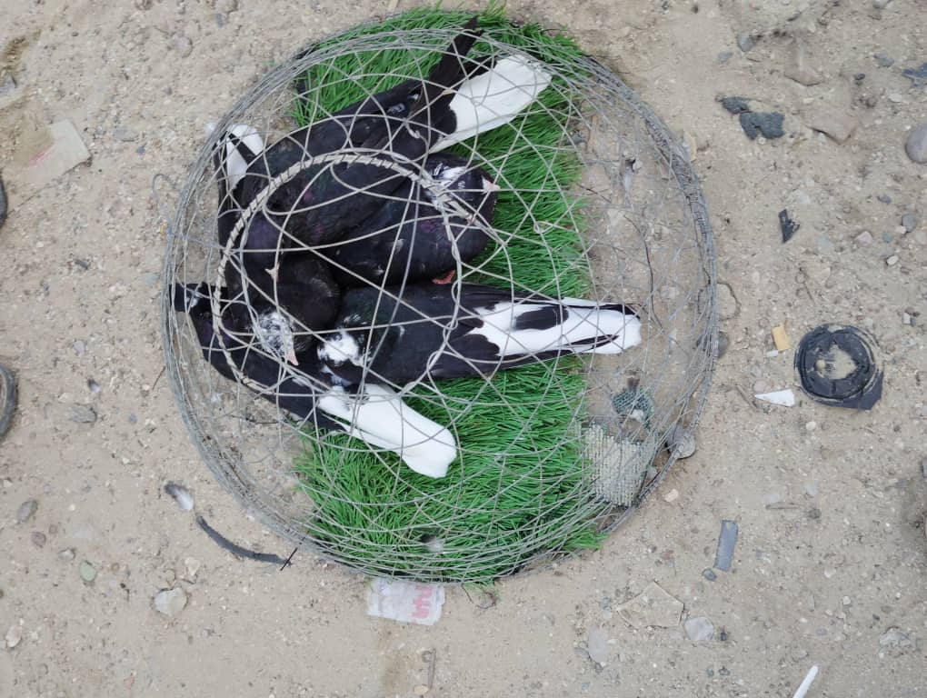 سوق الحراج في شرج بإسالم في مدينة المكلا "نكهة خاصة من التاريخ الحضرمي لازالت تحافظ عليه حضرموت" ملف مصور سوق الحراج في شرج بإسالم في مدينة المكلا "نكهة خاصة من التاريخ الحضرمي لازالت تحافظ عليه حضرموت" ملف مصور