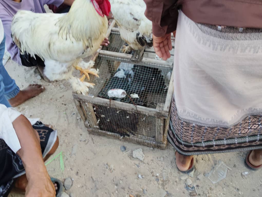 سوق الحراج في شرج بإسالم في مدينة المكلا "نكهة خاصة من التاريخ الحضرمي لازالت تحافظ عليه حضرموت" ملف مصور سوق الحراج في شرج بإسالم في مدينة المكلا "نكهة خاصة من التاريخ الحضرمي لازالت تحافظ عليه حضرموت" ملف مصور