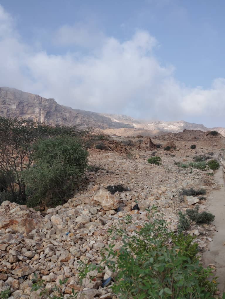 عقبة "عبدالله غريب" العصره الأولي والثانية خارج نطاق الخدمة ومواطنون يوجهون رساله عاجله إلى محافظ حضرموت والجهات المعنية عقبة "عبدالله غريب" العصره الأولي والثانية خارج نطاق الخدمة ومواطنون يوجهون رساله عاجله إلى محافظ حضرموت والجهات المعنية