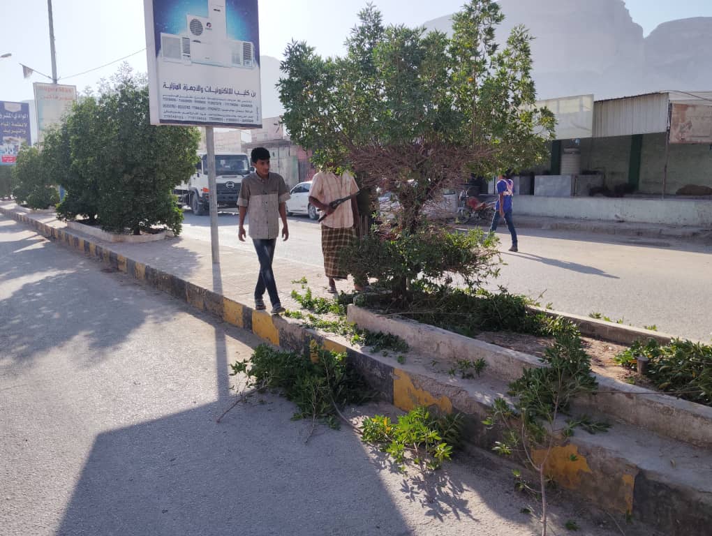 مديريه القطن تتزين لاستقبال زوار موسم زياره الهدار. "شاهد الصـور" مديريه القطن تتزين لاستقبال زوار موسم زياره الهدار. "شاهد الصـور"