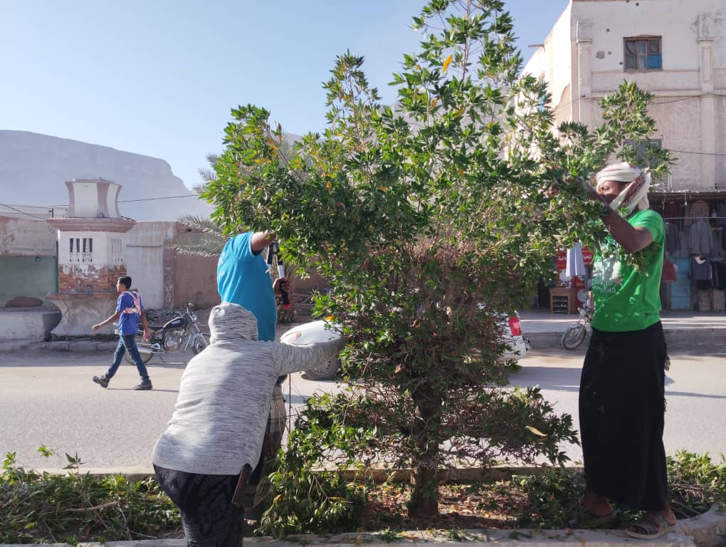 مديريه القطن تتزين لاستقبال زوار موسم زياره الهدار. "شاهد الصـور" مديريه القطن تتزين لاستقبال زوار موسم زياره الهدار. "شاهد الصـور"