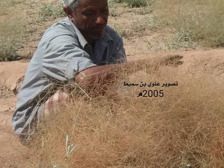 الحضرمي الذي زرع (الحيدوان) الحضرمي الذي زرع (الحيدوان)