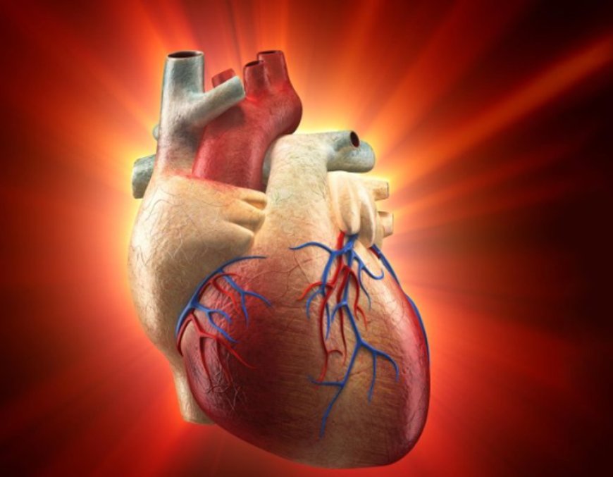 وداعا لجراحات الزراعة.. ابتكار طبي يعيد ترميم القلب وداعا لجراحات الزراعة.. ابتكار طبي يعيد ترميم القلب