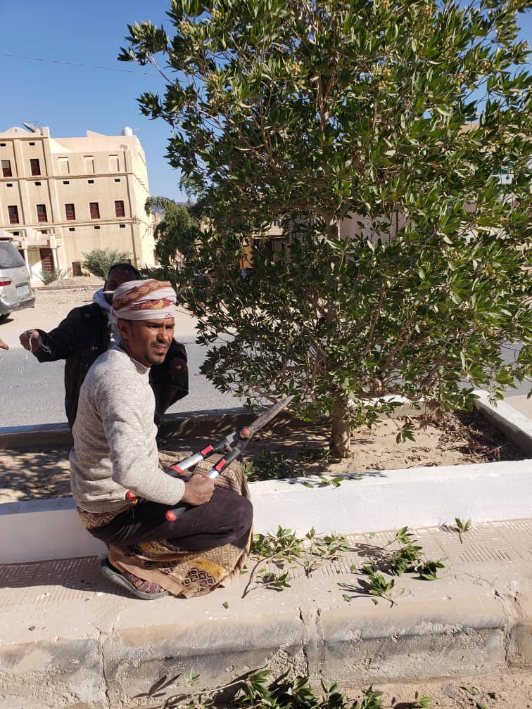بالصور .. وحدة النظافة و التحسين بمديرية القطن تقوم بقص الأشجار بالشوارع العامة و حملة تنظيف امام مجمع الدوائر الحكومية بالمديرية بالصور .. وحدة النظافة و التحسين بمديرية القطن تقوم بقص الأشجار بالشوارع العامة و حملة تنظيف امام مجمع الدوائر الحكومية بالمديرية