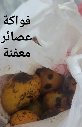 شاهد بالصور .. ضبط مواد غذائية فاسدة وانتهاكات صحية في عدد من المطاعم والبوفيهات بالشحر شاهد بالصور .. ضبط مواد غذائية فاسدة وانتهاكات صحية في عدد من المطاعم والبوفيهات بالشحر