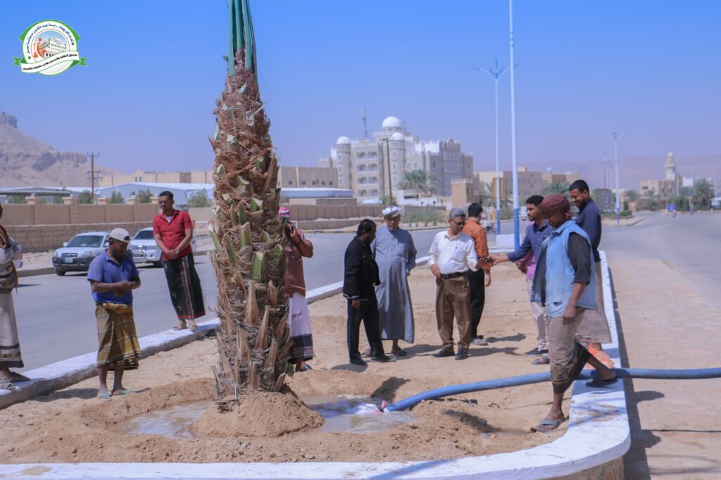 إمتدادًا لمهرجان النخيل.. مدير عام صندوق النظافة ومكتب الزراعة يدشّنان زراعة شارع الستين بسيئون بأشجار النخيل إمتدادًا لمهرجان النخيل.. مدير عام صندوق النظافة ومكتب الزراعة يدشّنان زراعة شارع الستين بسيئون بأشجار النخيل