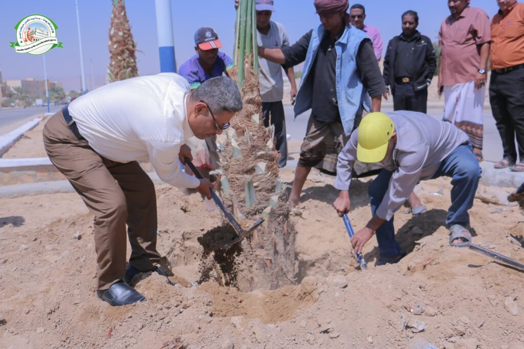 إمتدادًا لمهرجان النخيل.. مدير عام صندوق النظافة ومكتب الزراعة يدشّنان زراعة شارع الستين بسيئون بأشجار النخيل إمتدادًا لمهرجان النخيل.. مدير عام صندوق النظافة ومكتب الزراعة يدشّنان زراعة شارع الستين بسيئون بأشجار النخيل