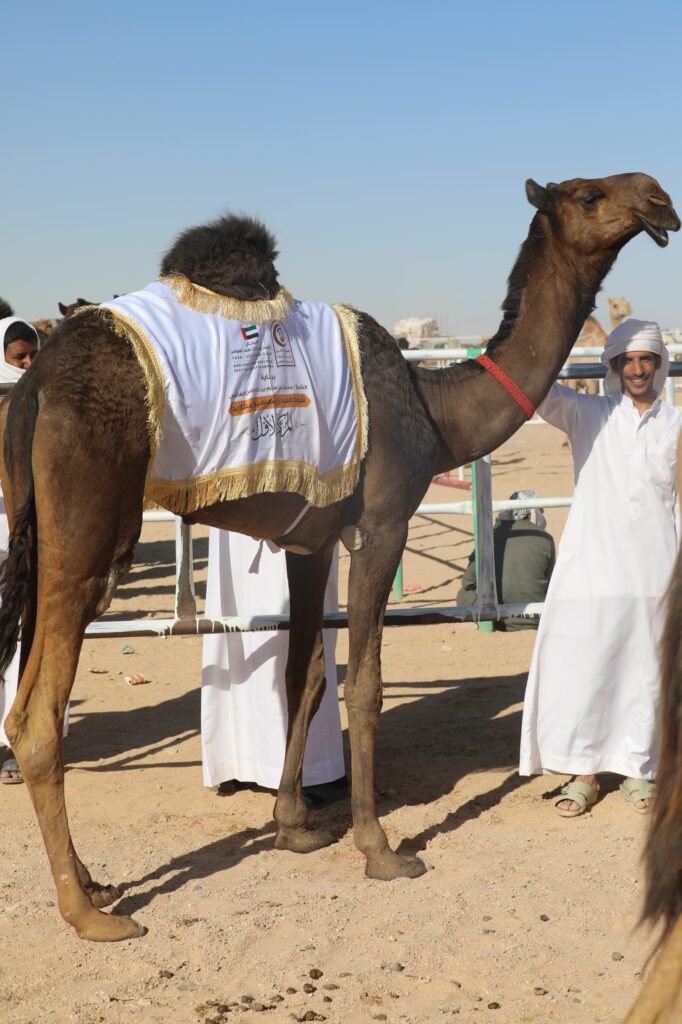 انطلاق منافسات المزاينة والرماية في ثاني أيام مهرجان الشيخ زايد التراثي "شاهد الصور" انطلاق منافسات المزاينة والرماية في ثاني أيام مهرجان الشيخ زايد التراثي "شاهد الصور"
