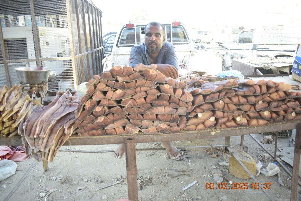 سوق مدينة سيئون كما يبدو ليلة العاشر من رمضان 1446هـ { شاهد الصور } سوق مدينة سيئون كما يبدو ليلة العاشر من رمضان 1446هـ { شاهد الصور }