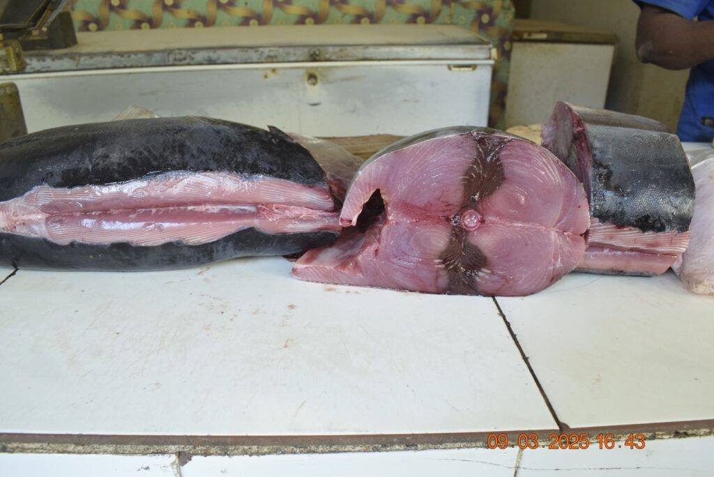 سوق مدينة سيئون كما يبدو ليلة العاشر من رمضان 1446هـ { شاهد الصور } سوق مدينة سيئون كما يبدو ليلة العاشر من رمضان 1446هـ { شاهد الصور }