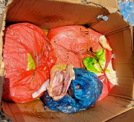 حملة تفتيشية موسعة على المنشآت الغذائية في الشحر تفضي إلى إغلاق مخالفين وإتلاف مواد غدائية فاسدة "شاهد الصور" حملة تفتيشية موسعة على المنشآت الغذائية في الشحر تفضي إلى إغلاق مخالفين وإتلاف مواد غدائية فاسدة "شاهد الصور"