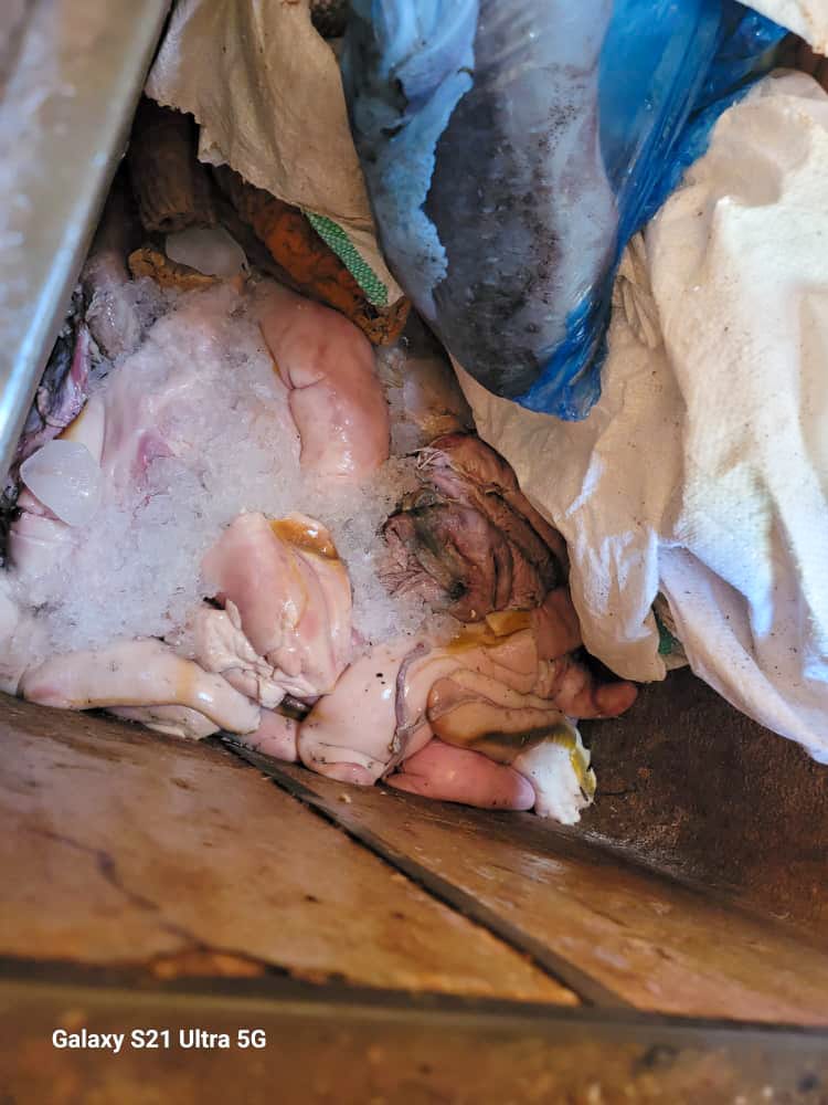 شاهد بالصور… حملة تفتيشية تغلق عدد من مطابخ تحضير وجبات الكراش " أحشاء الأسماك " بسبب مخالفات صحية بمدينة الشحر شاهد بالصور… حملة تفتيشية تغلق عدد من مطابخ تحضير وجبات الكراش " أحشاء الأسماك " بسبب مخالفات صحية بمدينة الشحر