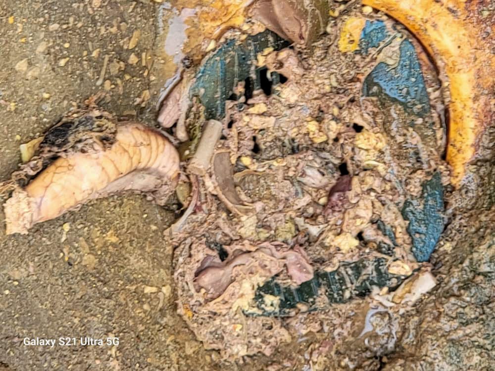 شاهد بالصور… حملة تفتيشية تغلق عدد من مطابخ تحضير وجبات الكراش " أحشاء الأسماك " بسبب مخالفات صحية بمدينة الشحر شاهد بالصور… حملة تفتيشية تغلق عدد من مطابخ تحضير وجبات الكراش " أحشاء الأسماك " بسبب مخالفات صحية بمدينة الشحر