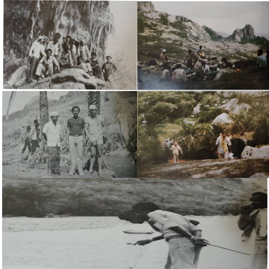 ســقطــــــرى ســقطــــــرى